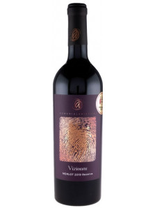 Vizionar Merlot Rezerva 2019 | Domeniul Aristitei | Dealu Mare